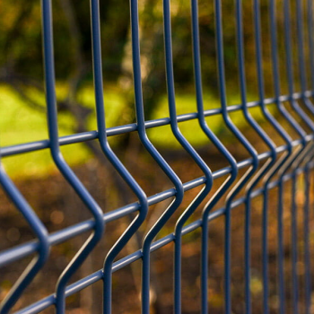 image_2024-08-07_040755906